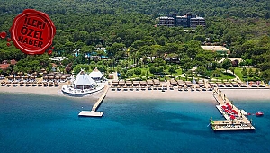 Farkındalık festivali