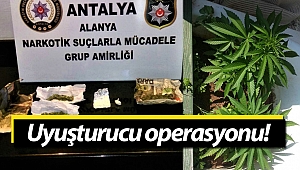 Alanya'da uyuşturucu operasyonu!