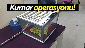 Antalya'da kumar operasyonu!
