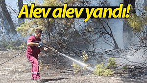 Antalya'da orman yangını!
