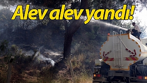 Antalya'da orman yangını!