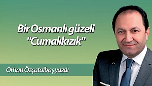 Bir Osmanlı güzeli 