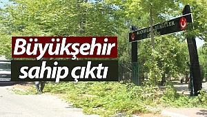 Büyükşehir Belediyesi, Şehitler Ormanı'na sahip çıktı (Videolu)
