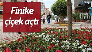 Finike caddeleri çiçeklerle donatıldı