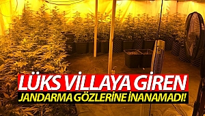 Lüks villaya giren jandarma gözlerine inanamadı! (Videolu)