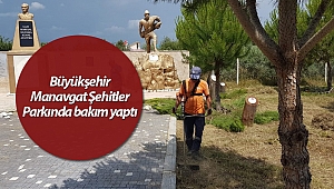 Manavgat Şehitler Ormanına bakım yapıldı (Videolu)