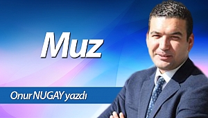  Muz