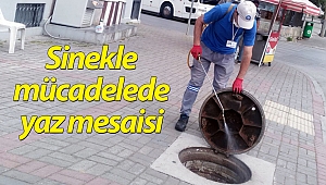 Sinekle mücadelede yaz mesaisi