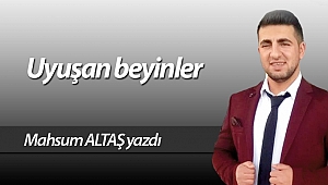 Uyuşan Beyin'ler