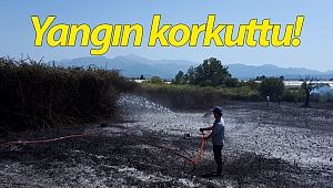 Antalya'da boş arazide yangın!