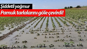 Antalya'da şiddetli yağmur pamuk tarlalarını göle çevirdi!