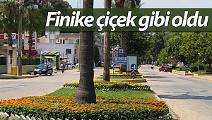 Finike çiçek gibi oldu
