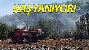 Kaş'ta orman yangını!