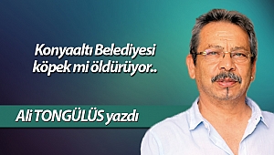Konyaaltı Belediyesi köpek mi öldürüyor..