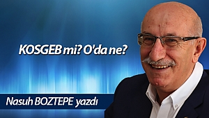 KOSGEB mi? O'da ne?