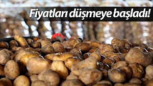Patates ve soğandaki ateş sönüyor (Videolu)
