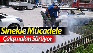 Sinekle Mücadele çalışmaları