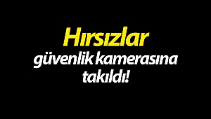 Alanya'da tüp hırsızlığı güvenlik kamerasında! (Videolu)