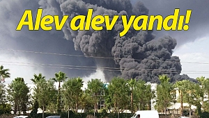 Antalya'da fabrika yangını! (Videolu)
