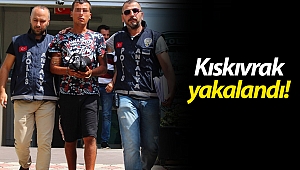 Antalya'da iş yeri faresi güvenlik kamerasına takıldı! (Videolu)