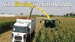Antalya'da yılın ilk silaj üretimi başladı