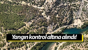 Antalya'daki orman yangını kontrol altına alındı!