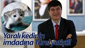 Büyükşehir sevimli dost için seferber oldu
