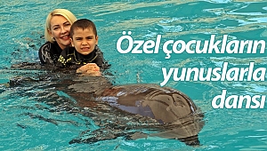 Hayatlarında ilk kez yunuslarla yüzen otizmli çocukların keyifli anları (Videolu)
