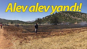 Korkuteli'nde anız yangını!