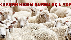 Kumluca'da kurban kesim kursu açılacak