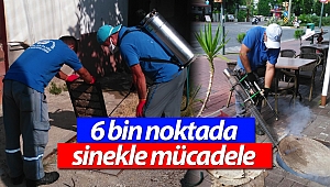 Sinekle mücadele hız kesmiyor