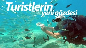 Turistlerin yeni gözdesi su altında ekmekle balık beslemek (Videolu)
