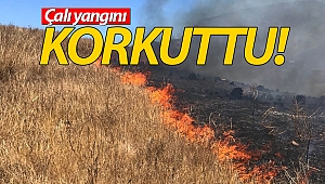 Alanya’da otluk alanda yangın çıktı!