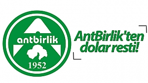 AntBirlik'ten dolar resti