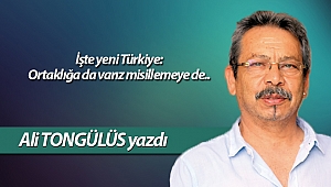 İşte yeni Türkiye: Ortaklığa da varız misillemeye de..