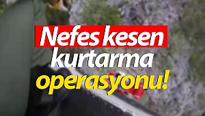 Kayalıklarda mahsur kalan yaralı film gibi operasyonla kurtarıldı! (Videolu)