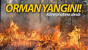 Antalya'da orman yangını!