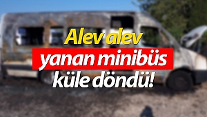 Park halindeki minibüs alev alev yandı!
