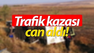 Safari minibüsü devrildi!