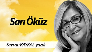 Sarı Öküz