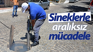 Sivrisinekle mücadele çalışmaları devam ediyor