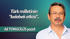 Türk milletinin 