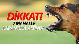 Antalya'da 7 mahallede kuduz karantinası!