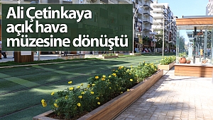 Ali Çetinkaya açık hava müzesine dönüştü