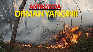 Antalya'da orman yangını!
