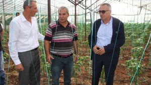 Antalya'da solucan gübresi ile tarım uygulaması yapıldı