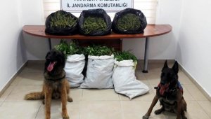 Antalya'da uyuşturucu operasyonlarına 15 tutuklama