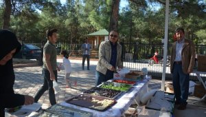 Camiler ve Din Görevlileri Haftası