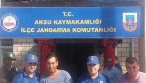 Jandarmadan iki keçi için film gibi operasyon
