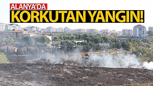 Alanya'da otluk alanda yangın paniği